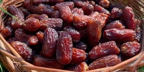 تصویر 4 از قیمت خرید خرمای پیارم بم با فروش عمده