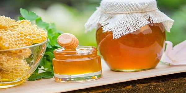 تصویر 4 از خرید عسل طبیعی شیراز + قیمت فروش استثنایی