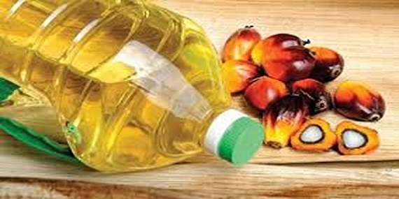 تصویر 3 از خرید روغن هسته خرما جنوب + قیمت فروش استثنایی