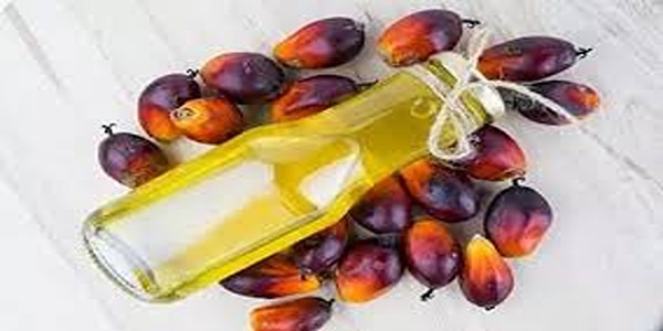 تصویر 5 از خرید روغن هسته خرما جنوب + قیمت فروش استثنایی