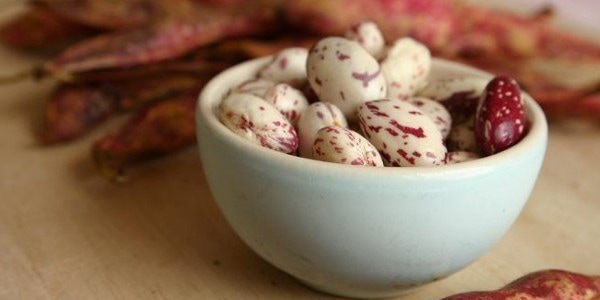تصویر 2 از خرید و فروش لوبیا چیتی خمین اراک با شرایط فوق العاده