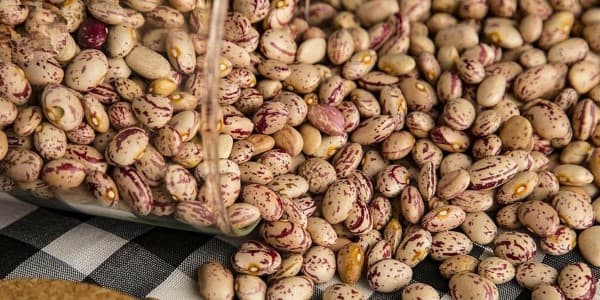 تصویر 5 از خرید و فروش لوبیا چیتی خمین اراک با شرایط فوق العاده