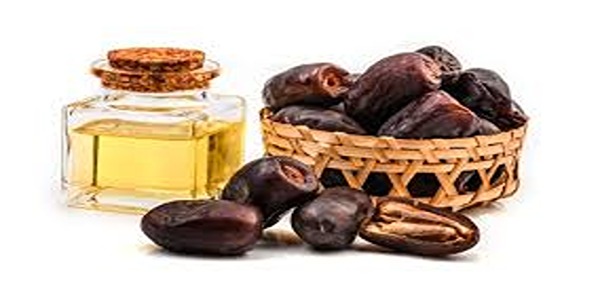 تصویر 1 از قیمت روغن هسته خرما شیراز + خرید باور نکردنی