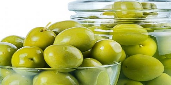 تصویر 3 از قیمت خرید زیتون تلخ تزیینی + فروش ویژه
