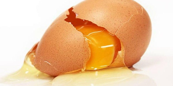 تصویر 2 از قیمت تخم مرغ دو زرده + خرید باور نکردنی