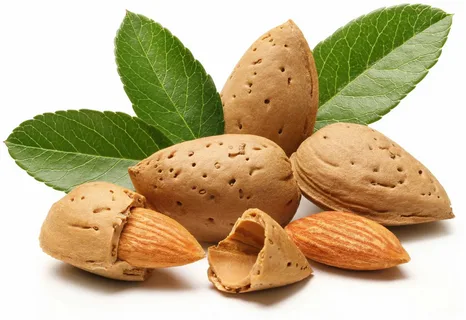 خرید و قیمت بادام درختی خام + فروش عمده