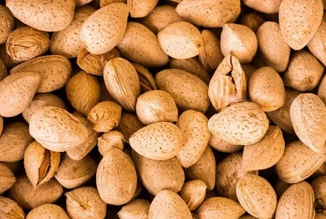 تصویر 3 از خرید و قیمت بادام درختی خام + فروش عمده