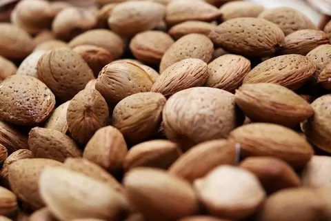 تصویر 2 از خرید و قیمت بادام درختی خام + فروش عمده