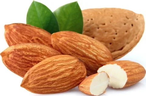 تصویر 1 از خرید و قیمت بادام درختی خام + فروش عمده