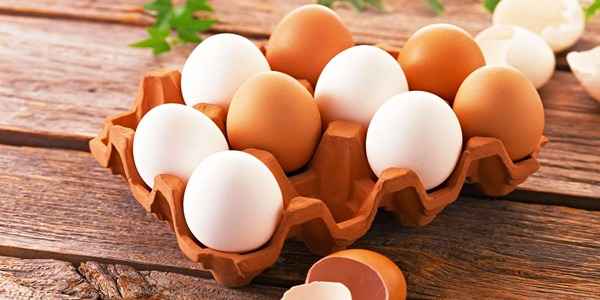تصویر 5 از خرید تخم مرغ ارگانیک + قیمت فروش استثنایی