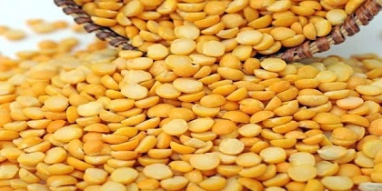 تصویر 3 از قیمت لپه تبریزی برتر آرتمیس ارزان با فروش عمده