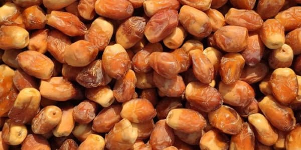 تصویر 2 از قیمت خرما زاهدی زرد + خرید باور نکردنی
