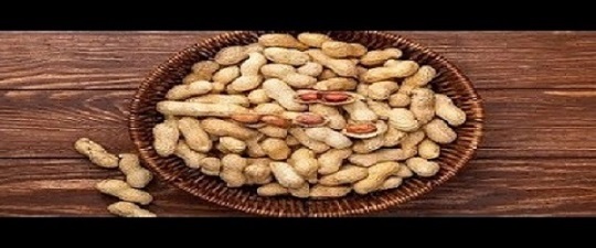 تصویر 4 از خرید و قیمت بادام زمینی روکش دار سرکه + فروش عمده