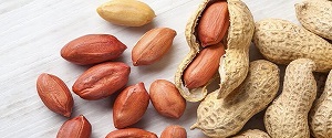 تصویر 2 از خرید و قیمت بادام زمینی روکش دار سرکه + فروش عمده
