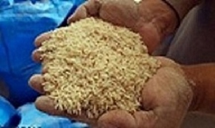 تصویر 1 از فروش کود نانو کشاورزی + قیمت خرید به صرفه