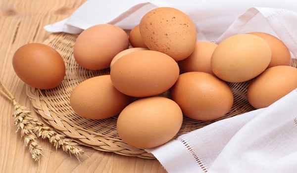 تصویر 1 از فروش تخم مرغ محلی + قیمت خرید به صرفه