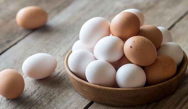 تصویر 2 از فروش تخم مرغ محلی + قیمت خرید به صرفه