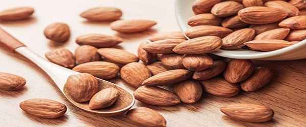 تصویر 3 از خرید بادام مامایی درجه یک + قیمت فروش استثنایی