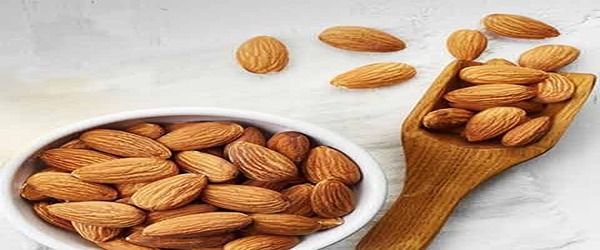 تصویر 4 از قیمت خرید بادام مامایی صادراتی عمده به صرفه و ارزان