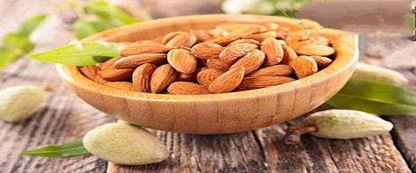 تصویر 1 از قیمت خرید بادام مامایی صادراتی عمده به صرفه و ارزان