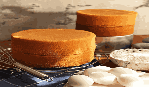 تصویر 4 از قیمت خرید کیک ساده با تخم مرغ + فروش ویژه