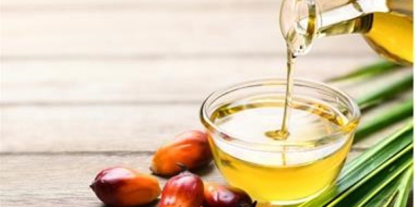 تصویر 3 از قیمت خرید روغن هسته خرما عمده به صرفه و ارزان
