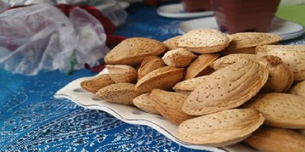 تصویر 3 از قیمت بادام مامایی صادراتی + خرید باور نکردنی