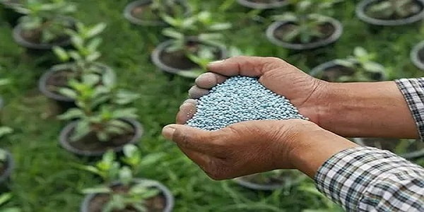 تصویر 3 از قیمت خرید کود ارگانیک پاورفید عمده به صرفه و ارزان