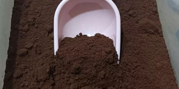 تصویر 3 از خرید و قیمت قهوه هسته خرما ارگانیک + فروش عمده