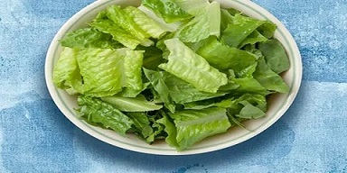 تصویر 2 از قیمت خرید کاهو پیچ سالادی + فروش ویژه