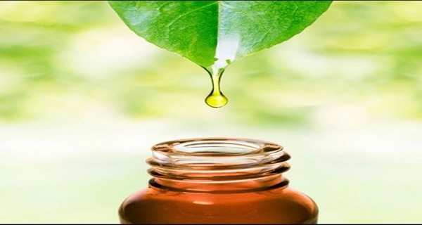 تصویر 3 از قیمت خرید عرقیات گیاهی اصل + فروش ویژه