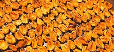 تصویر 1 از خرید و فروش برگه زردآلو خشک با شرایط فوق العاده