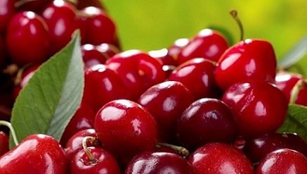 تصویر 4 از قیمت خرید آلبالو خشک طبیعی عمده به صرفه و ارزان