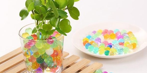 تصویر 4 از قیمت خرید خاک ژله ای کشاورزی + فروش ویژه