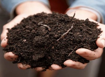 تصویر 3 از قیمت خرید کود ارگانیک مایع + فروش ویژه