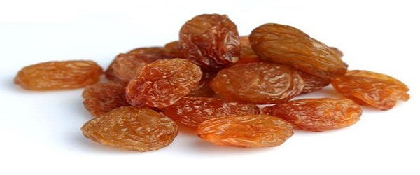 تصویر 1 از فروش کشمش آفتابی کاشمر + قیمت خرید به صرفه