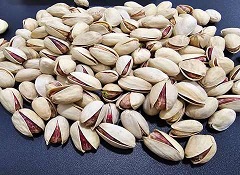 فروش پسته دریایی
