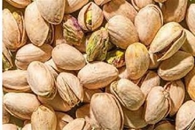 تصویر 5 از فروش پسته بادامی زرند + قیمت خرید به صرفه