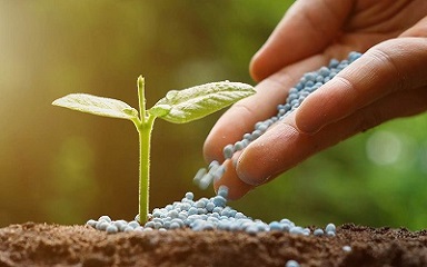 تصویر 1 از قیمت خرید کودهای ارگانیک نانو + فروش ویژه