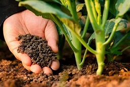 تصویر 5 از قیمت خرید کودهای ارگانیک نانو + فروش ویژه