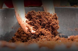 تصویر 5 از فروش خاک پرومکس درجه یک + قیمت خرید به صرفه