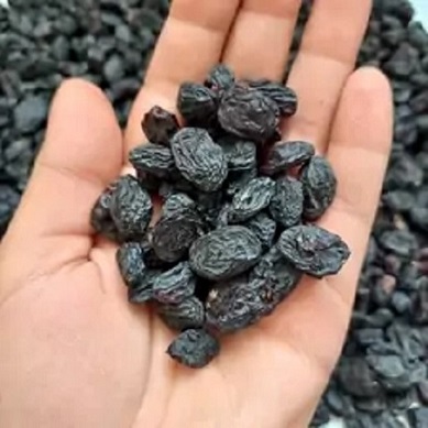 خرید و فروش کشمش مویز بدون هسته با شرایط فوق العاده