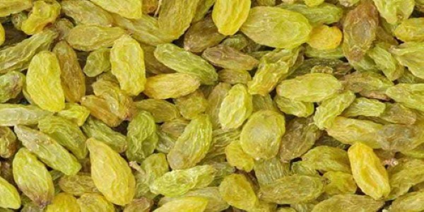 تصویر 3 از کشمش سبز کارتونی دارای طعمی خوش و مغذی