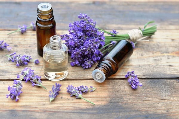 تصویر 3 از قیمت خرید اسانس اسطوخودوس الیس + فروش ویژه
