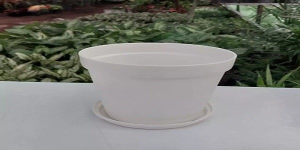 تصویر 4 از فروش گلدان پلاستیکی سفید + قیمت خرید به صرفه