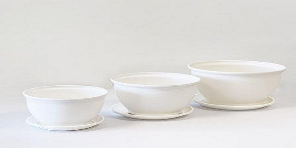 تصویر 5 از فروش گلدان پلاستیکی سفید + قیمت خرید به صرفه