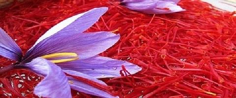تصویر 1 از خرید زعفران زرد طلایی + قیمت فروش استثنایی