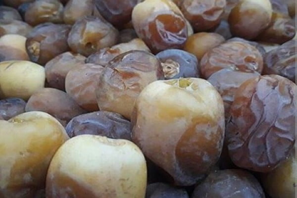 تصویر 2 از خرید و فروش خرمای برحی آبادان با شرایط فوق العاده