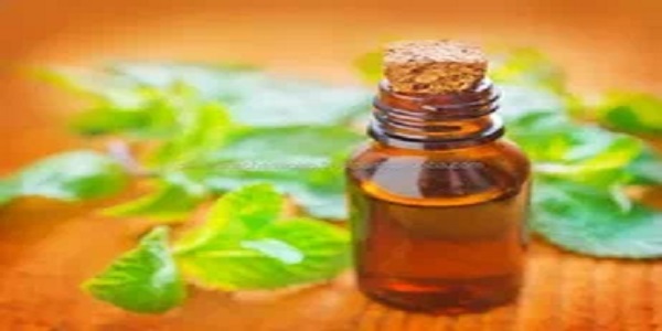 تصویر 4 از قیمت خرید عرق نعنا شیشه ای عمده به صرفه و ارزان