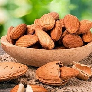 خرید بادام مامایی دیرگل عمده به صرفه و ارزان